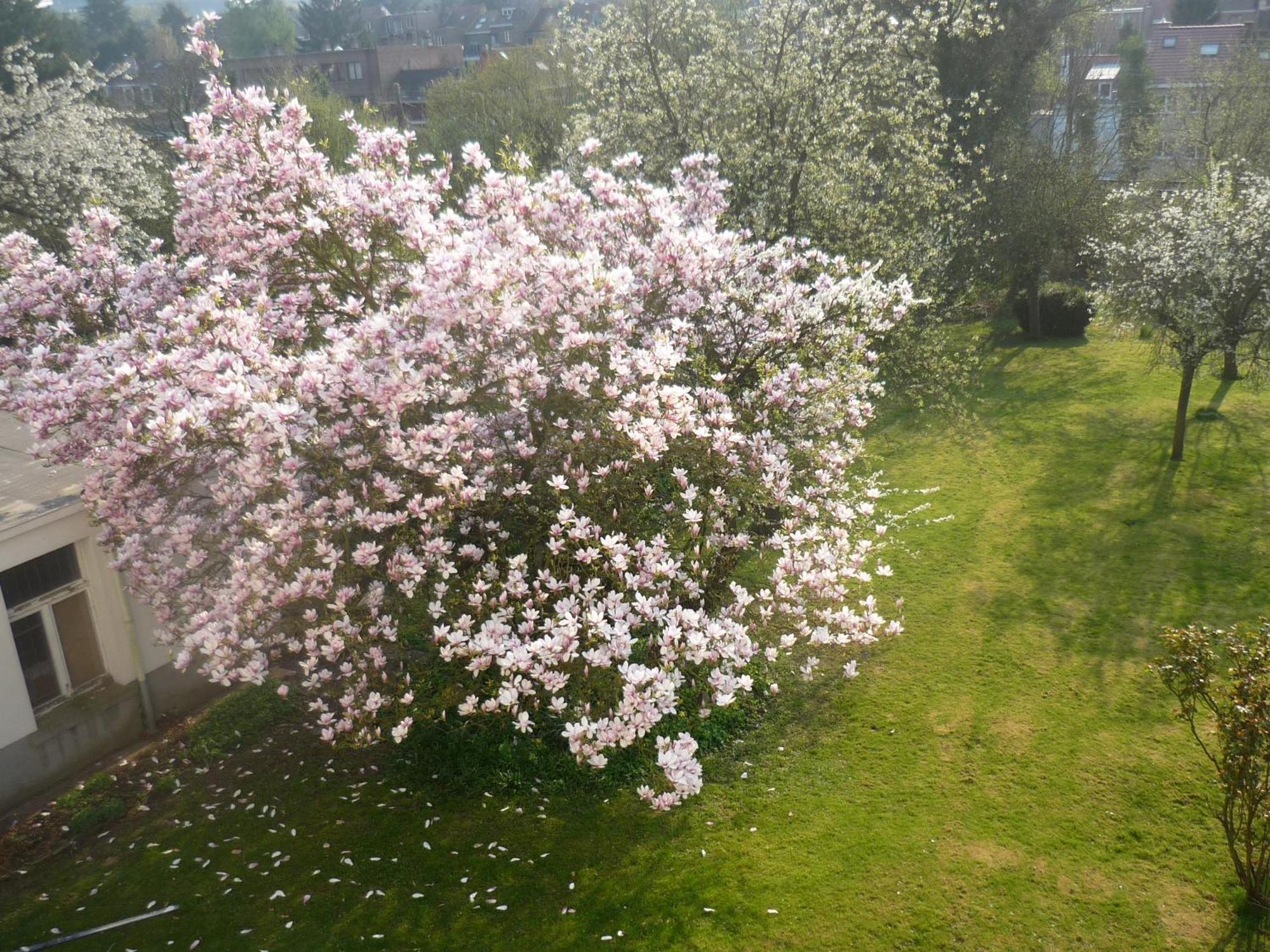 Frühstückspension Le Verger Auderghem